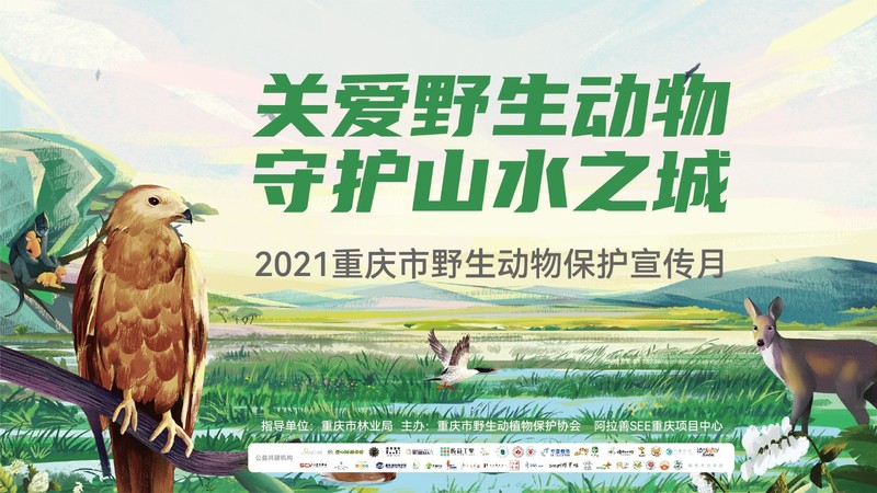 野保月1.jpg
