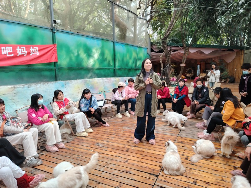 天爸天妈活动 (1).jpg