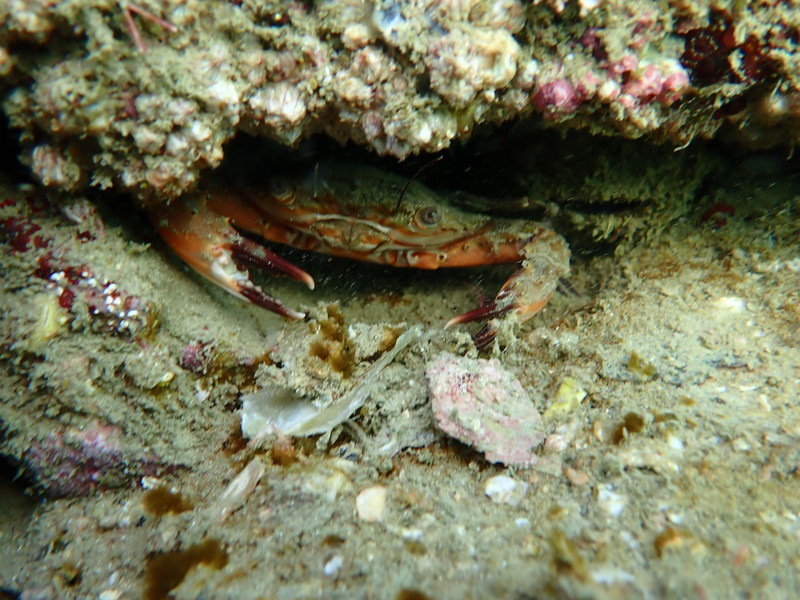 P2090063.JPG