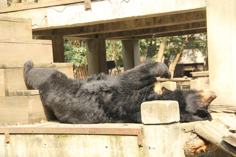 Sound Asleep.JPG