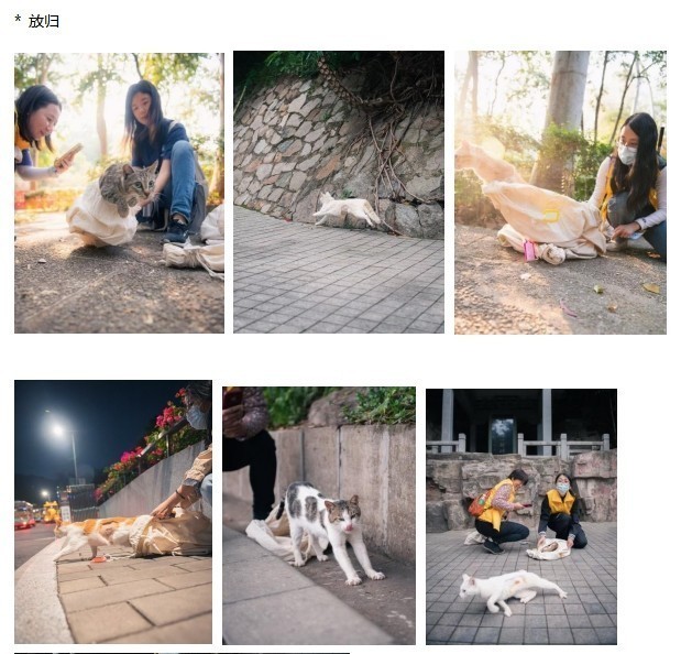 微信截图_20250523144646.png