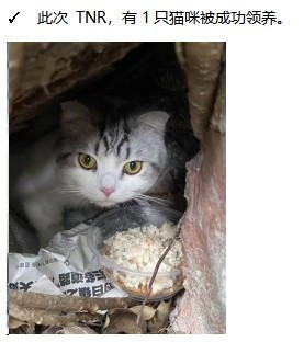 微信截图_20250523144722.png