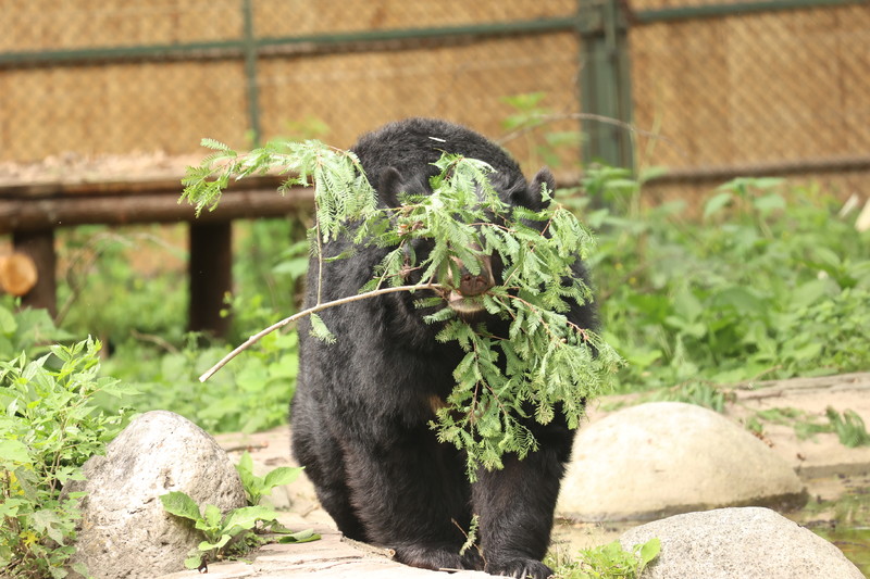 Smudge-0V5A8473.JPG
