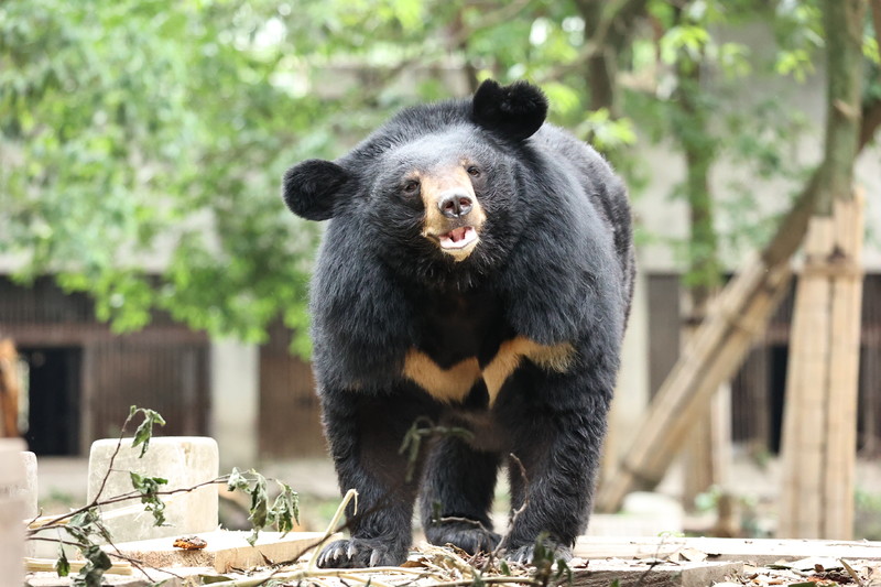 S404 JudeJasperina.JPG