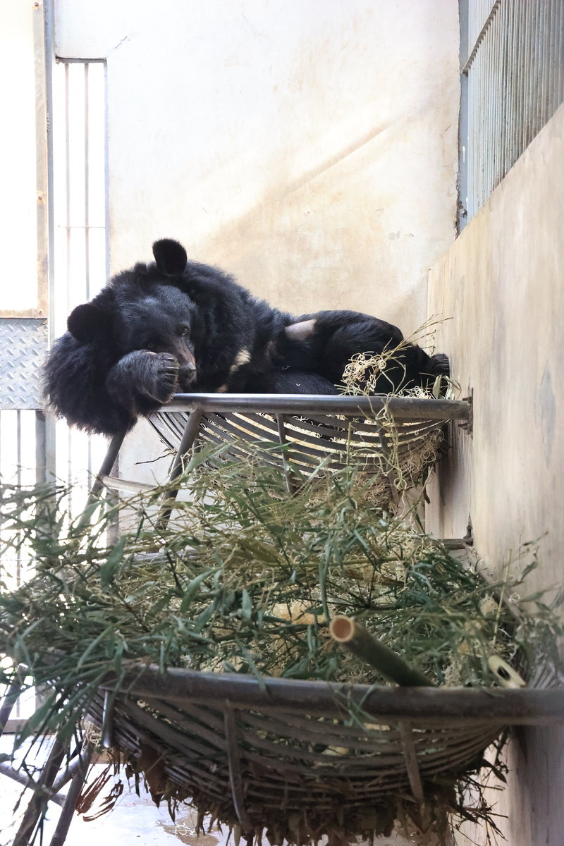 S290 Smudge 25.12.25 (1).JPG