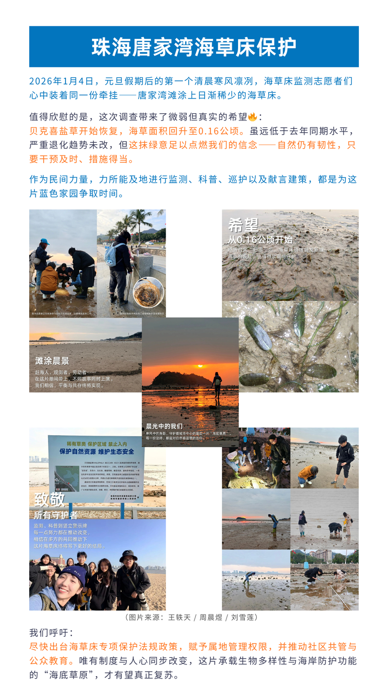 20260104珠海唐家湾海草床监测回顾.png