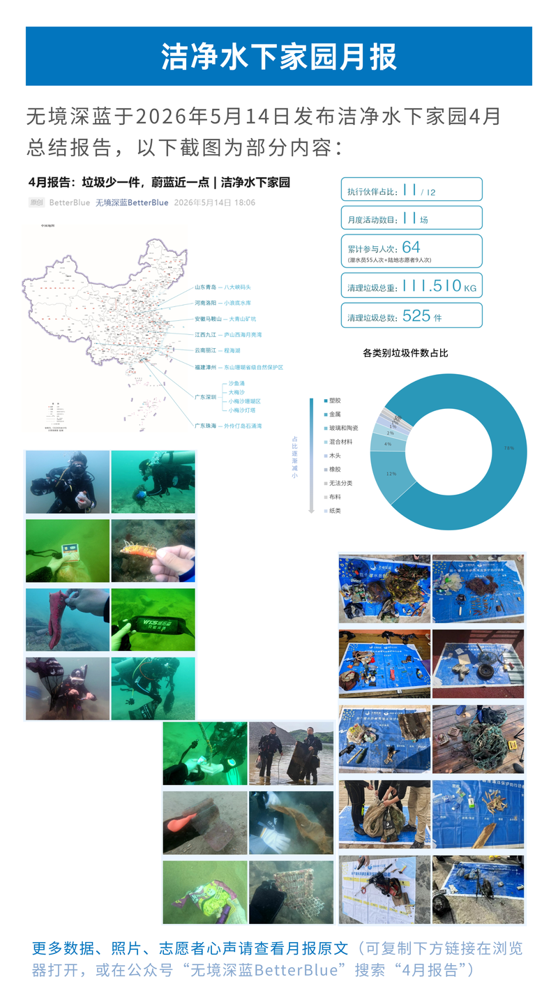 发布洁净水下家园202604月报.png