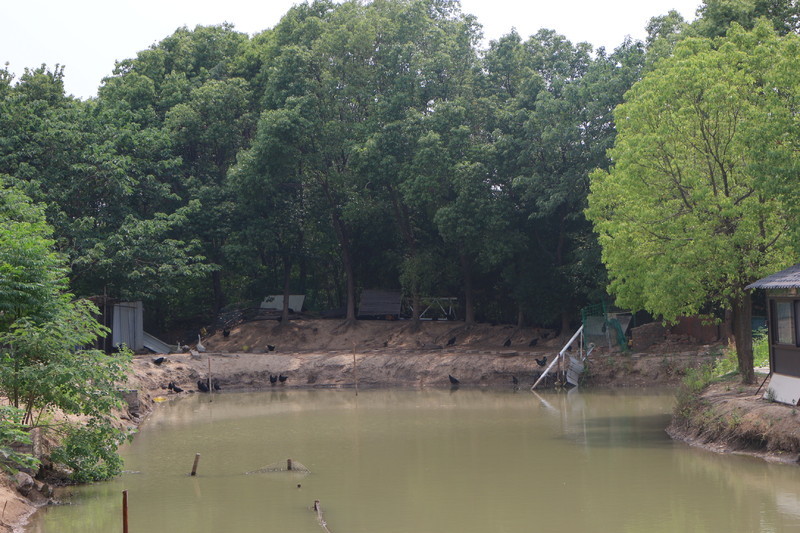 IMG_6539.JPG IMG_6539.JPG