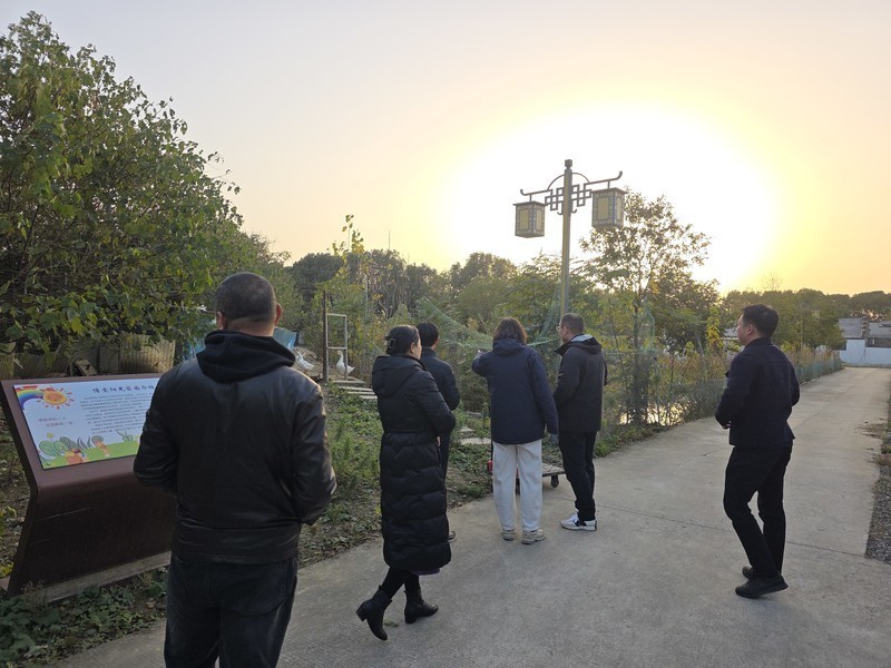 20251127_162322.jpg 20251127_162322.jpg