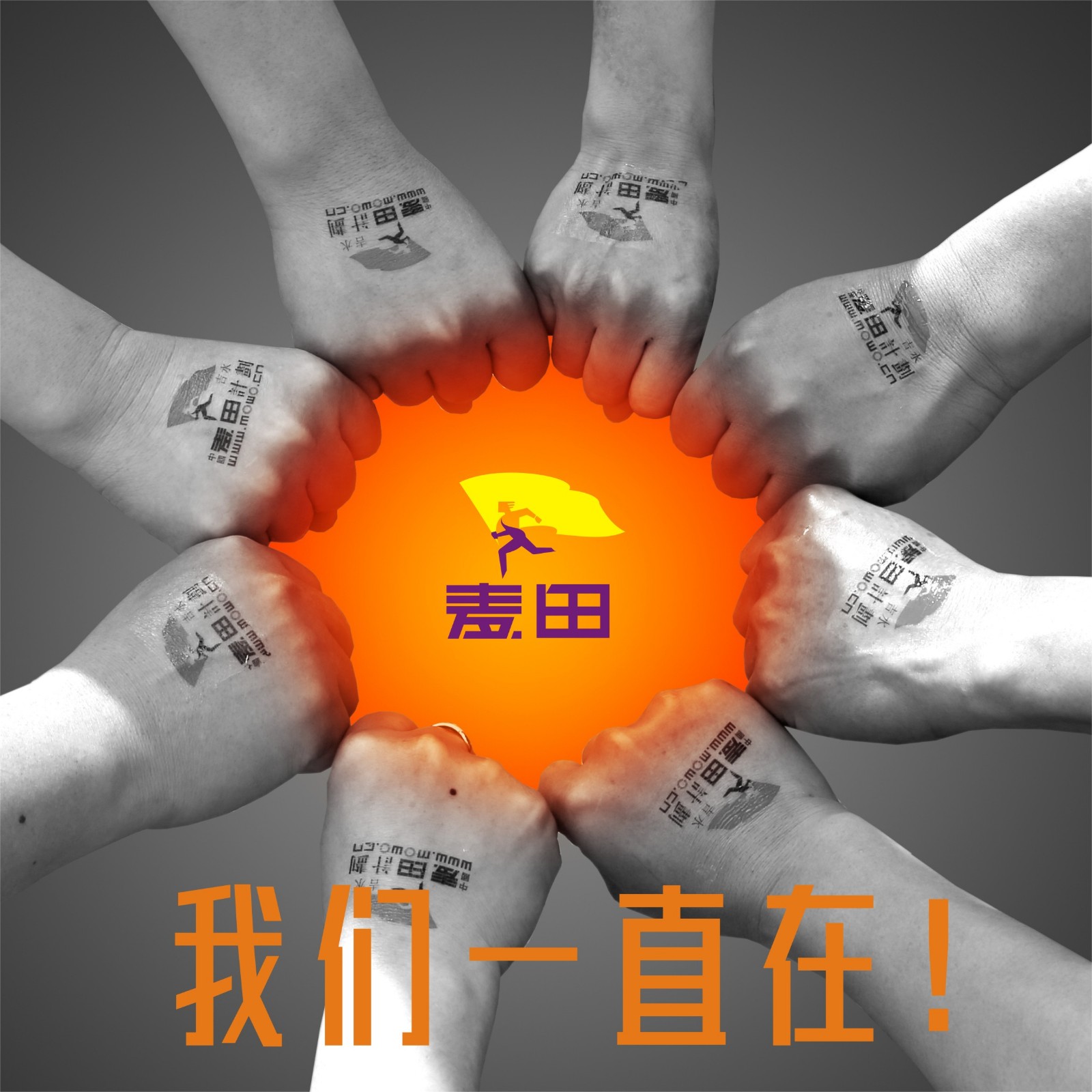 抗击疫情.麦田同行