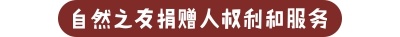 未命名 -30.jpg