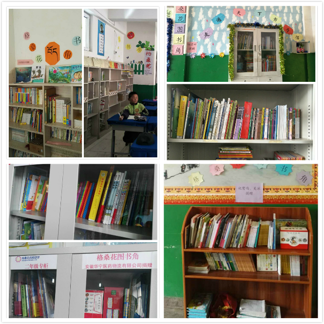 格桑花各个项目学校图书角.png
