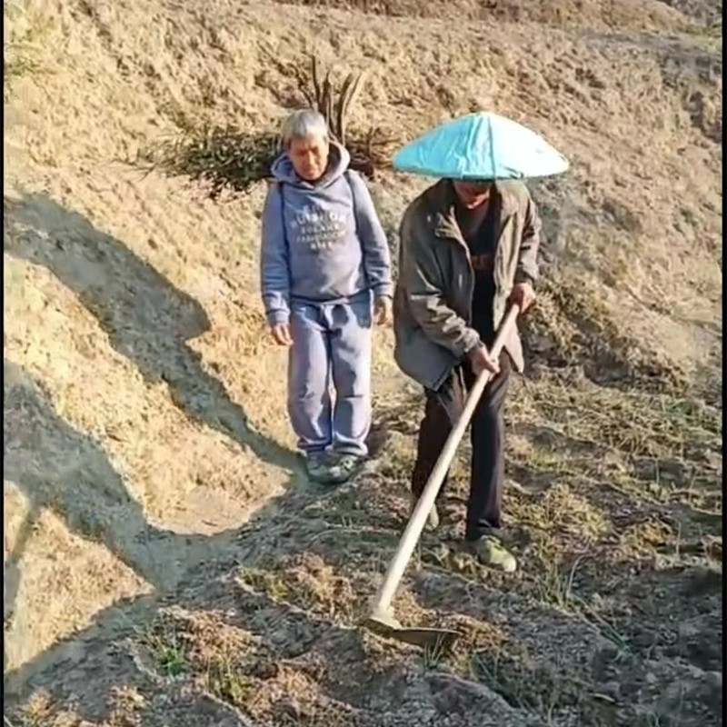 微信图片_20221107123302_副本.jpg