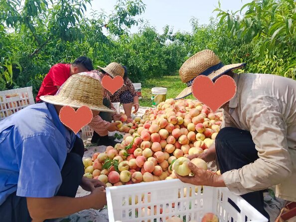 图片3小.jpg
